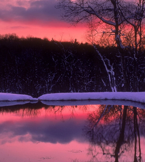 酒吧一瓶粉象卖多少