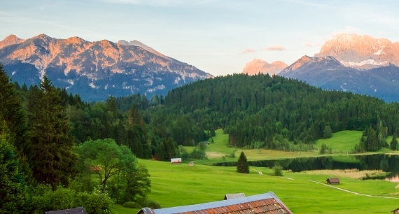 粉象生活一定要填邀请码吗