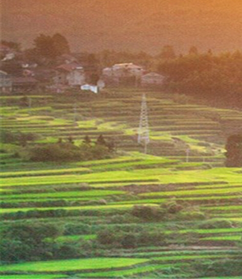 粉象生活邀请码填谁的,谁就可以赚钱吗