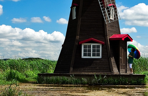 怎么退出粉象生活会员