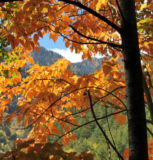 粉象生活怎么解除注册