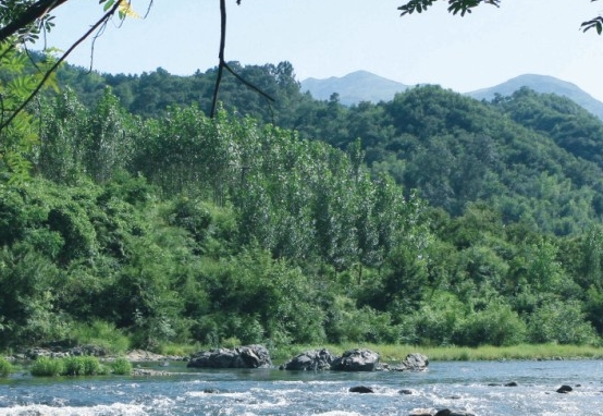 粉象生活邀请码填谁的最好