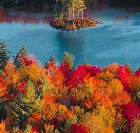 粉象生活如何修改个人信息