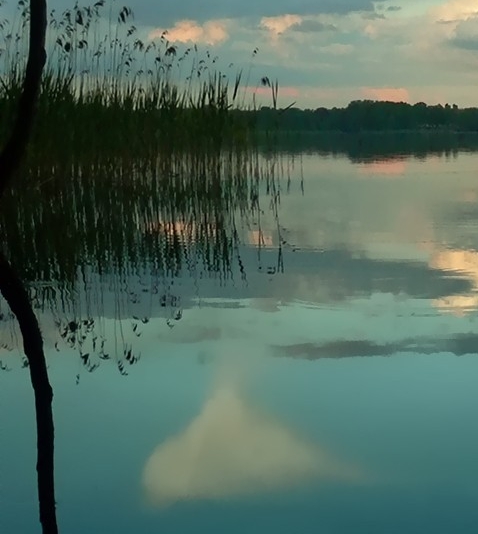 粉象生活365要年年交吗