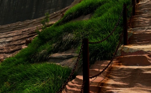 粉象生活购物省钱吗