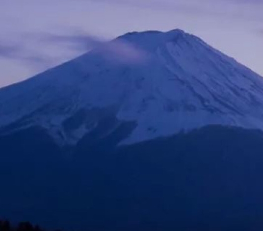 粉象生活淘小铺