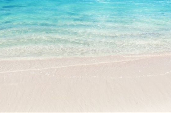 粉象生活会员期限