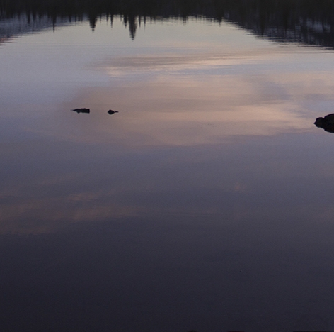 粉象生活推广办法