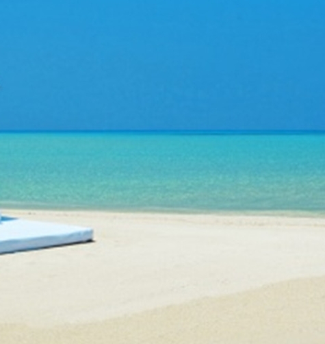 粉象生活粉丝怎么增加