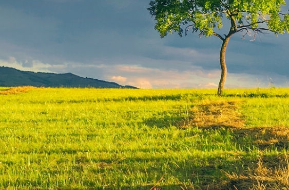 粉象生活能赚钱吗