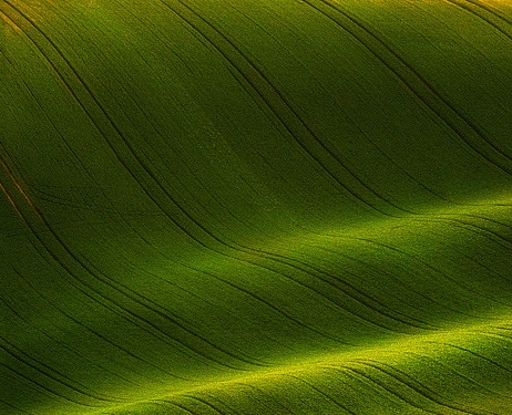 粉象是什么平台