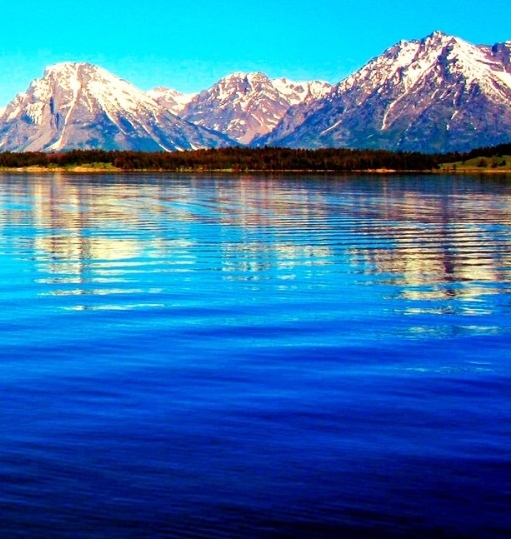 粉象生活怎么赚钱