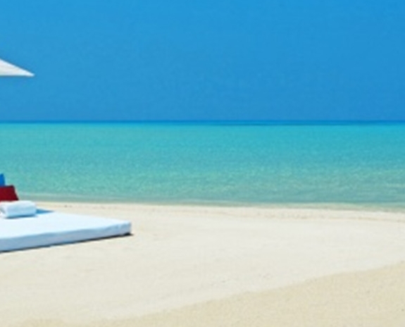 田昊粉象生活创始人