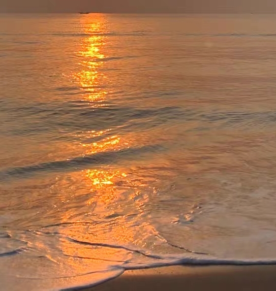 遂宁粉象生活代理粉象生活