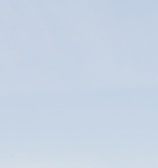 粉象生活副业选择