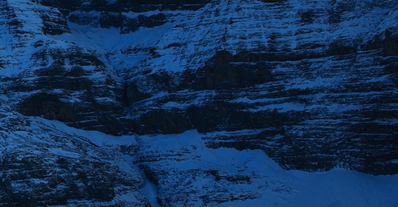 粉象生活如何使用