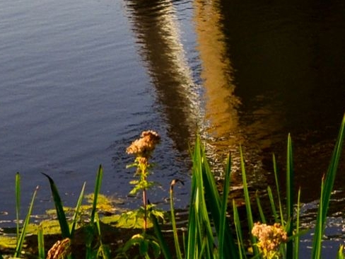 粉象生活是返利网吗
