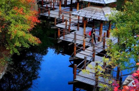 粉象生活怎么赚钱的