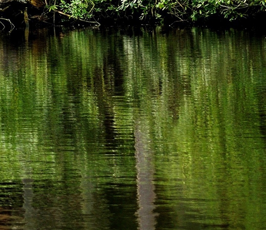 粉象生活宝妈如何挣钱