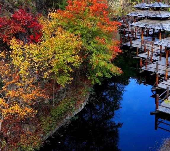 粉象生活的自媒体有哪些