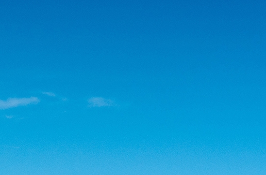 粉象生活app下载安装