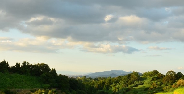 粉象生活赚钱容易吗