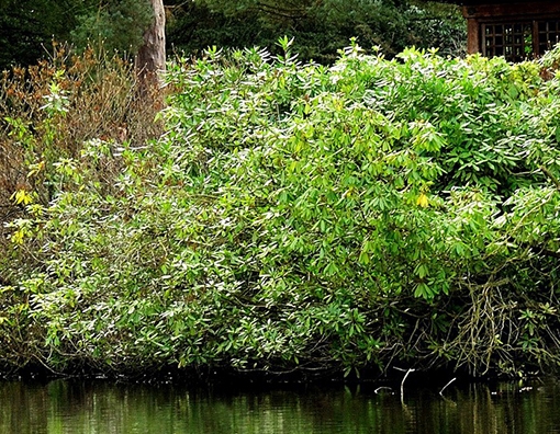 粉象生活邀请人实力官码