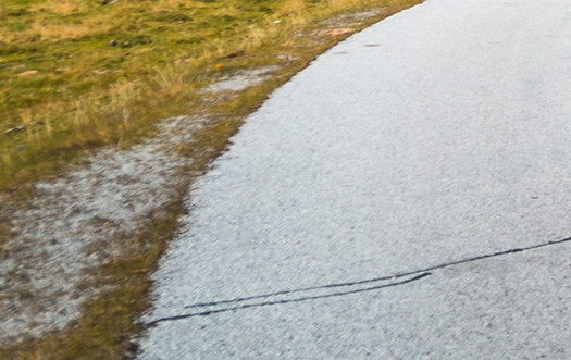 粉象生活合法吗