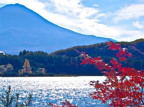 福建惠生活铂金会员