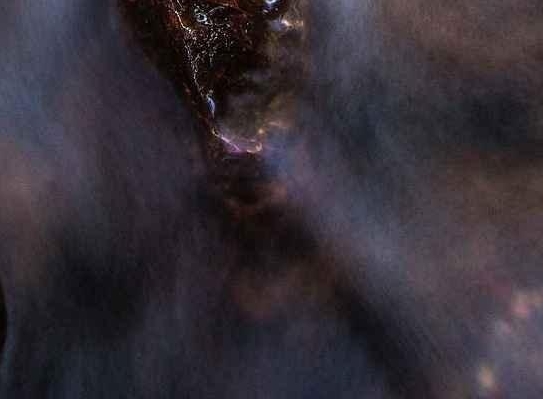 粉象生活是干嘛的