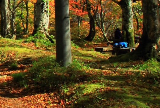 粉象生活能赚钱吗