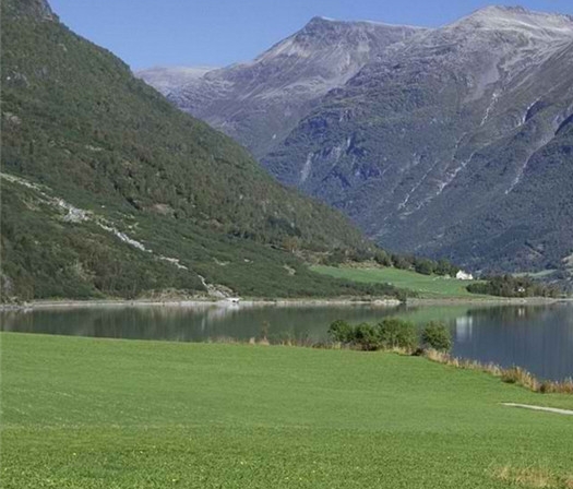 粉象生活做任务视频