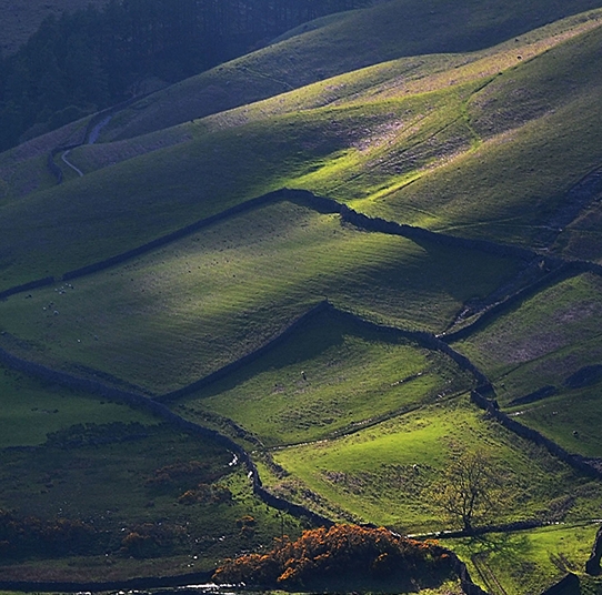 粉象生活 赚钱攻略