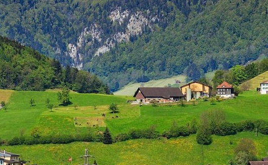 粉象生活要交钱吗