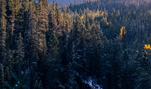 粉象生活能赚钱吗