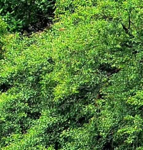 粉象生活怎么赚钱的