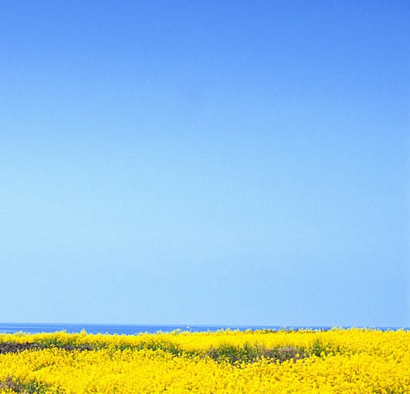 粉象生活怎么赚钱