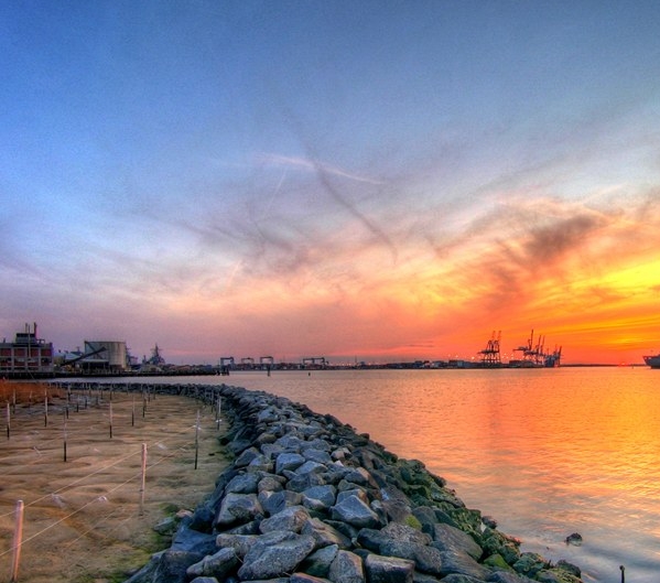 粉象生活和好省哪个更有优势