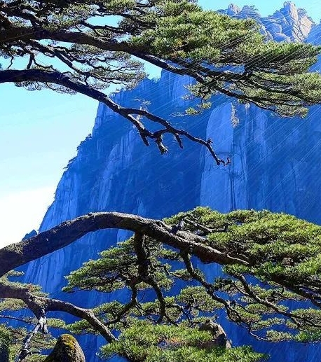 粉象生活合法吗