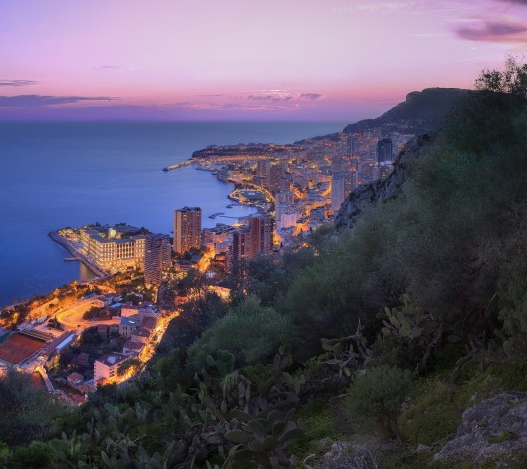 粉象生活是什么?