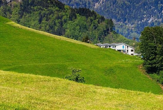 粉象生活是怎么赚钱的