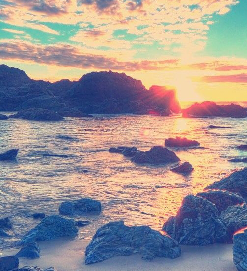 粉象生活怎么找优惠券