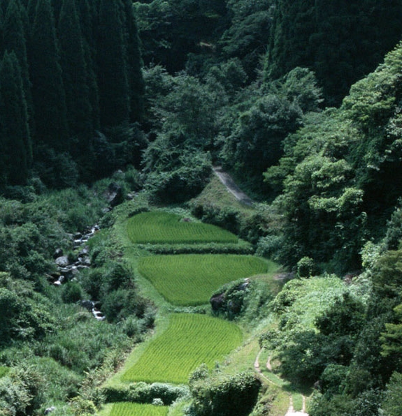 粉象生活平台怎么样