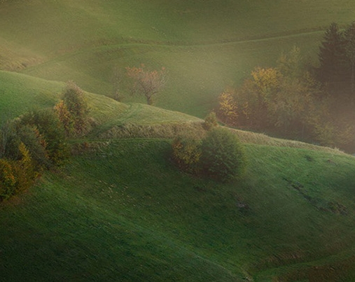 粉象生活赚钱教程
