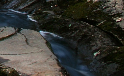 粉象生活合法吗