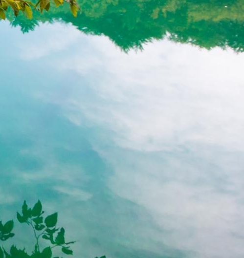 广州粉象生活怎么样