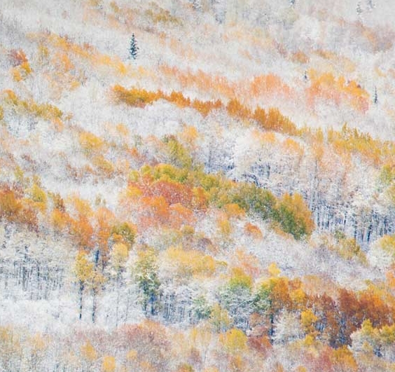 花呗盲盒是什么