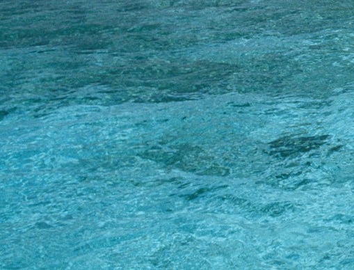 粉象生活是不是自媒体