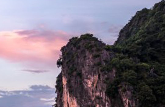 粉象生活和高佣联盟哪个好用