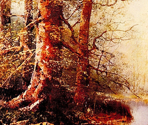 粉象生活怎么没有红包提现